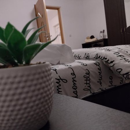Casa Anastasiei Brassó Kültér fotó