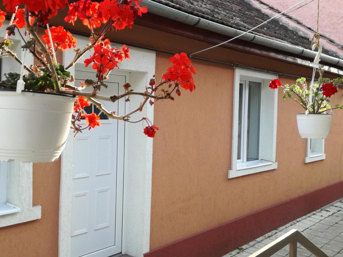 Casa Anastasiei Brassó Kültér fotó