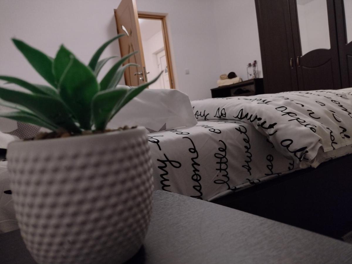 Casa Anastasiei Brassó Kültér fotó